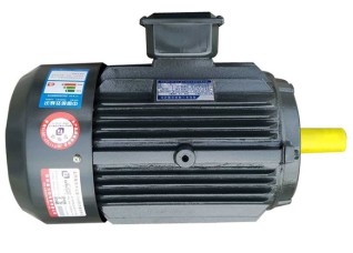 IE2 Series High Efficiency Three-phase Asynchronous Motor