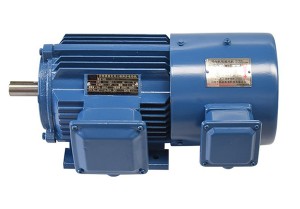 YVF2 Series Three-Phase Frequency Controlled Asynchronous Motor