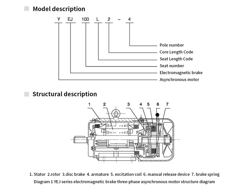 YEJ Series Electromagnetic Braking Three-Phase Asynchronous Motor Model Description and Structural