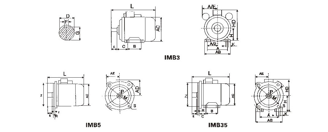 Single Phase Motor for Oil Pump 110V/220V - China Single Phase Motor;, Dual  Capacitor